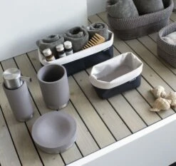 Blomus Ara Toothbrush Cup -Blomus Sales Store 3 14 17