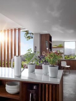 Blomus Limbo Watering Can -Blomus Sales Store blomus limbo watering can