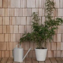 Blomus Rigua Watering Can -Blomus Sales Store blomus rigua watering can 1